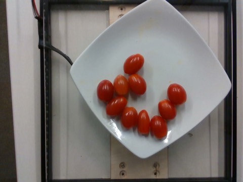 Overhead photo of a plate of cherry tomatoes from the Nutrition5k dataset